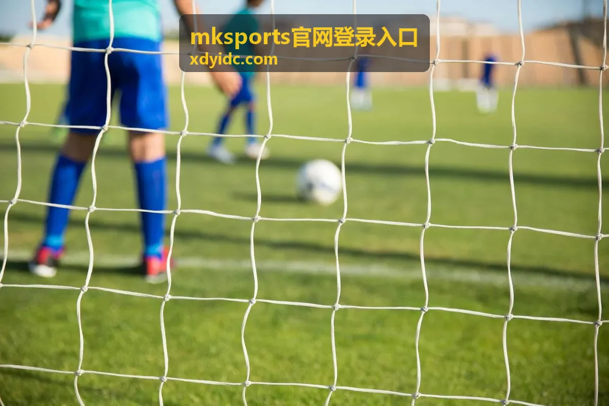 mksports官网登录入口移动端登录指引