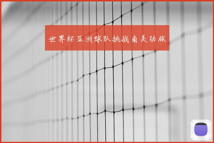 世界杯亚洲球队挑战南美劲旅