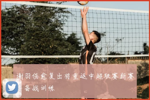 谢羽伤愈复出将重返中超联赛新赛季备战训练